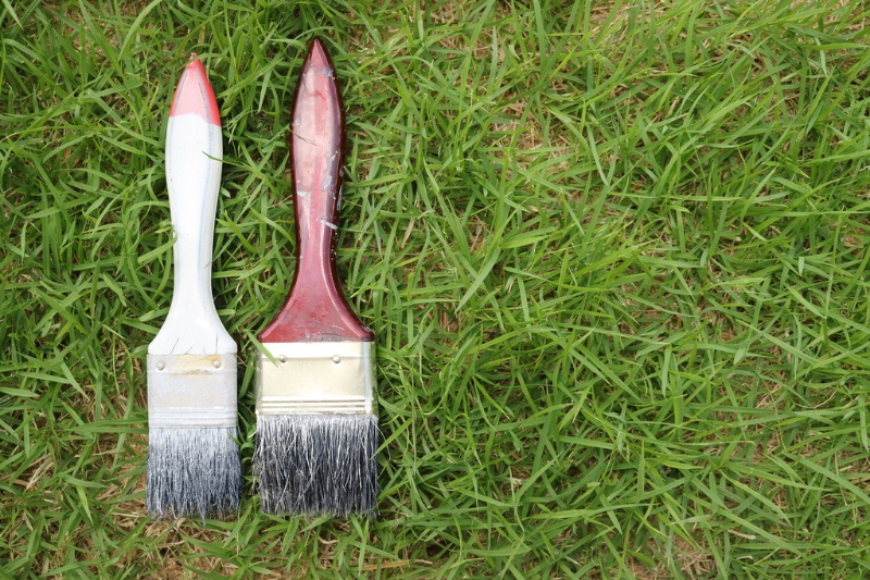 How To Clean Paint Brushes Tera Painting